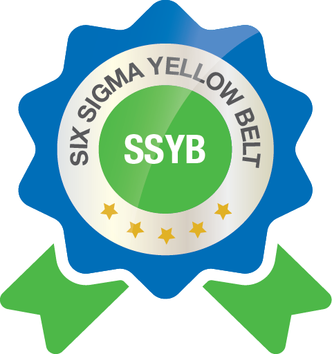 Six Sigma Yellow Belt (SSYB)